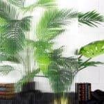 Fluted Glass Window Film